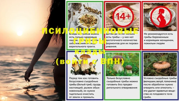 гидропоника Абаза