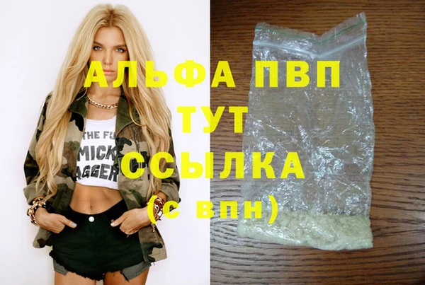 СК Алексин