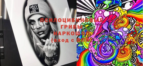 СК Алексин
