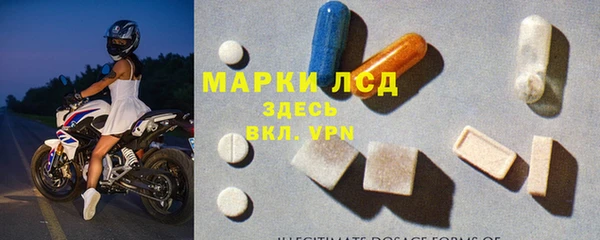 прущий лед Алзамай
