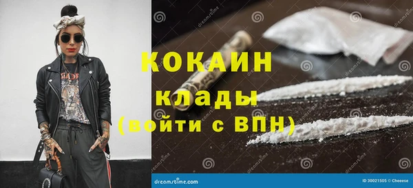 СК Алексин