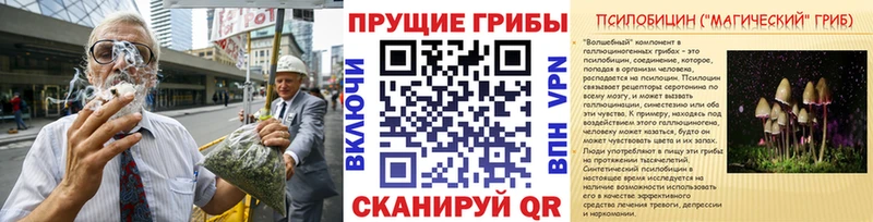 Псилоцибиновые грибы Psilocybe  Оса 