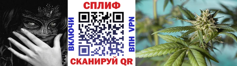Каннабис индика  купить наркоту  Оса 